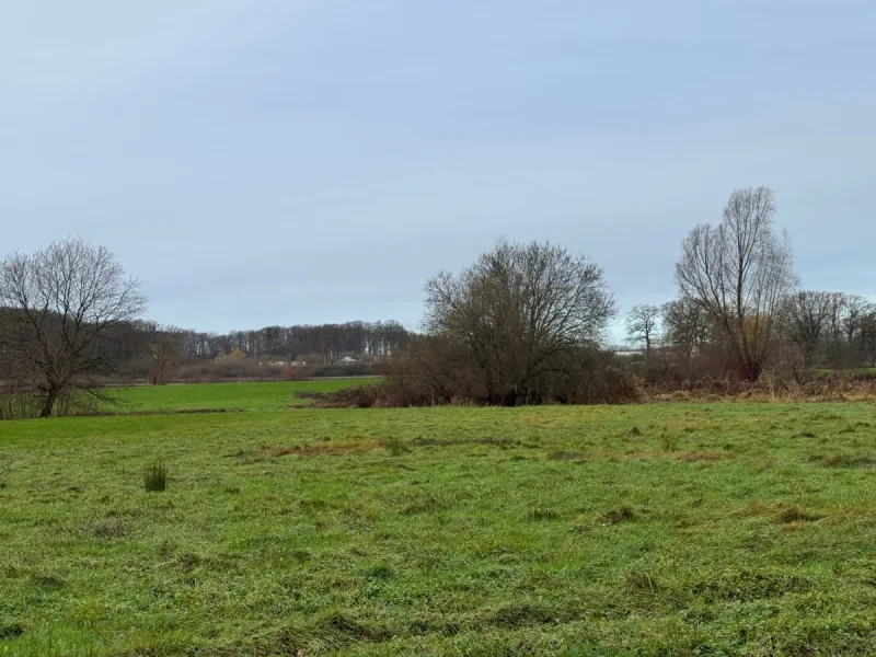 Wiese - Grundstück kaufen in Wersen - Wiese 3 in Lotte / Wersen