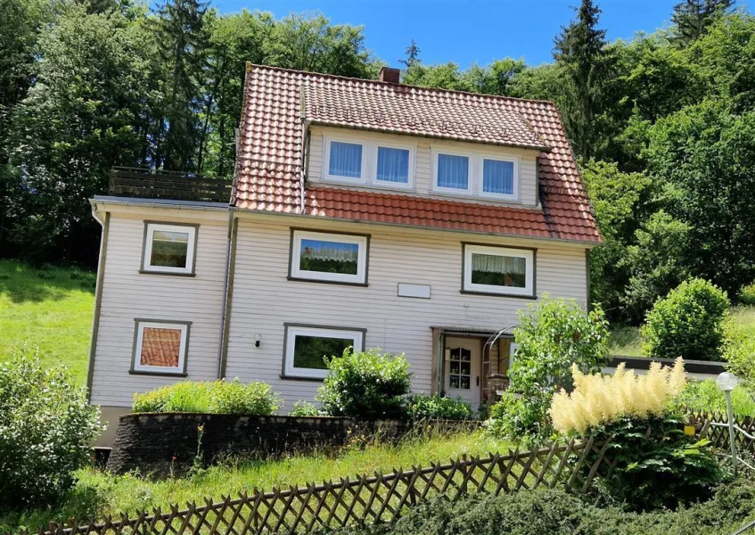 Außenansicht - Haus kaufen in Bad Grund , Harz - *Großes Haus mit toller Aussicht auf die Bergstadt Bad Grund*