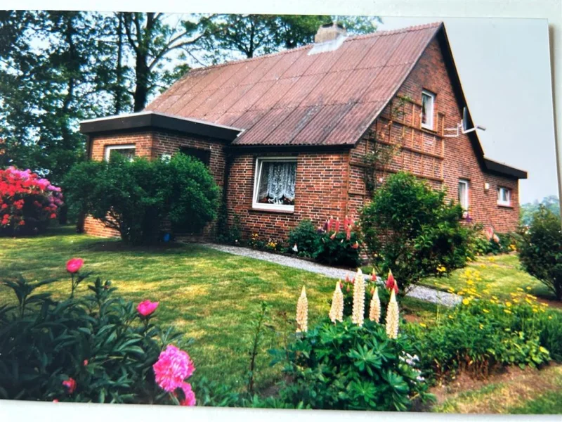 Herzlich Willkommen! - Haus kaufen in Steinau , Niederelbe - Leben auf dem Land! Schmuckes Wohnhaus mit ca. 1 Ha Weideland!