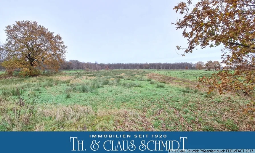 Blick auf die kleine Fläche - Grundstück kaufen in Ovelgönne - 7.500 m² Grünland für vielseitige Optionen (Keine Baumöglichkeit)