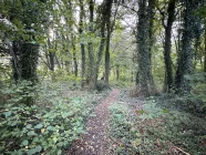 Ihr Spazierpfad im eigenen Wald