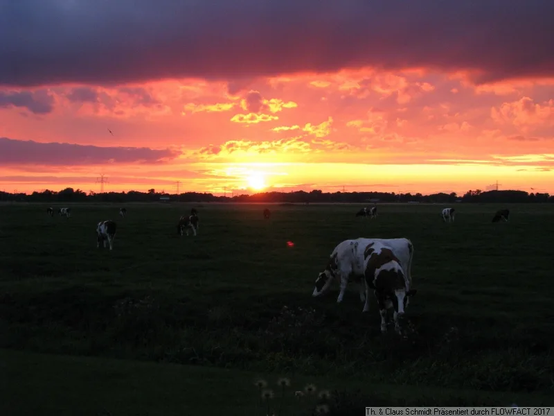 Herrliche Sonnenuntergänge