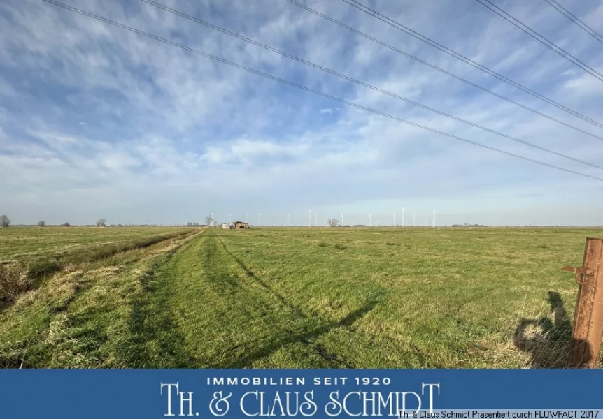 Blick auf die Landfläche - Grundstück kaufen in Elsfleth - rd. 17,5 ha arrondiertes Grünland mit älterem Maschinenschuppen nahe Elsfleth/Neuenfelde