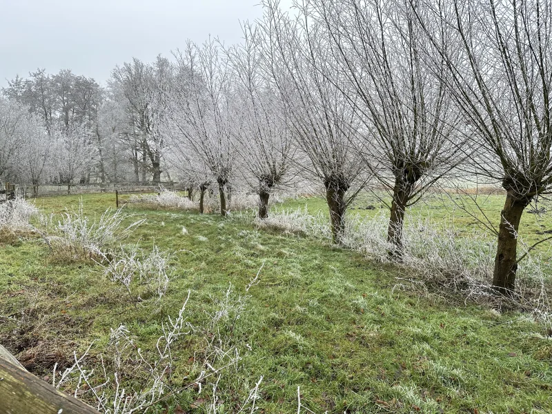 Blick zum Reitplatz