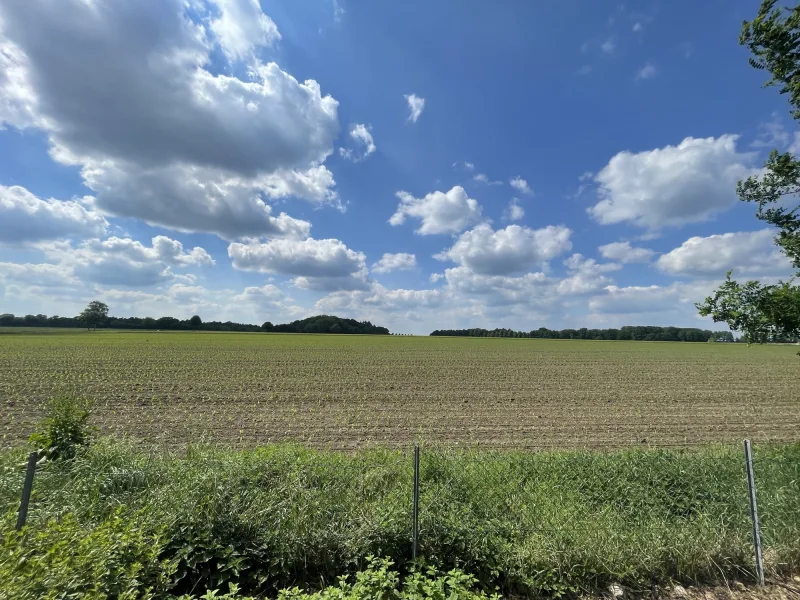 Ihr Blick - Haus kaufen in Egestorf - *** Viel  Platz & Raum für Ihren Wohntraum ***