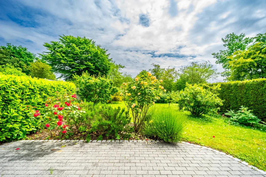 Blick in den Garten