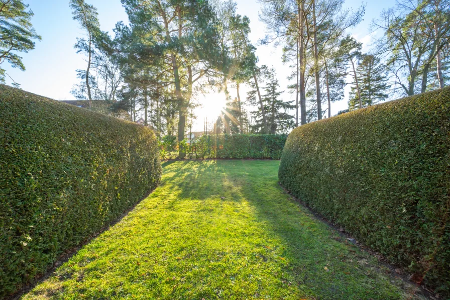 Blick in den Garten