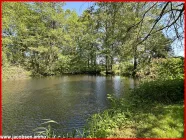 Gartenteich