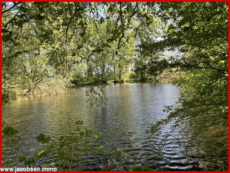 Gartenteich 