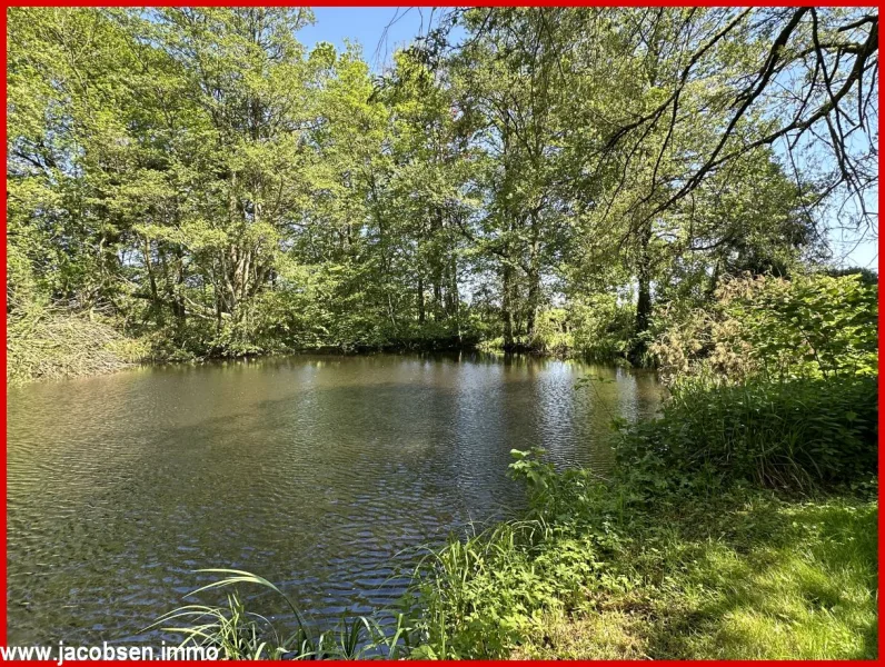 Gartenteich