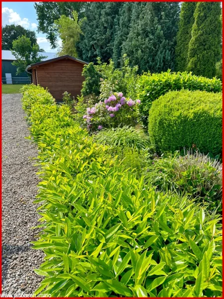 Gartenimpressionen