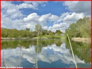 Schwimmteich mit Blick zum Haus