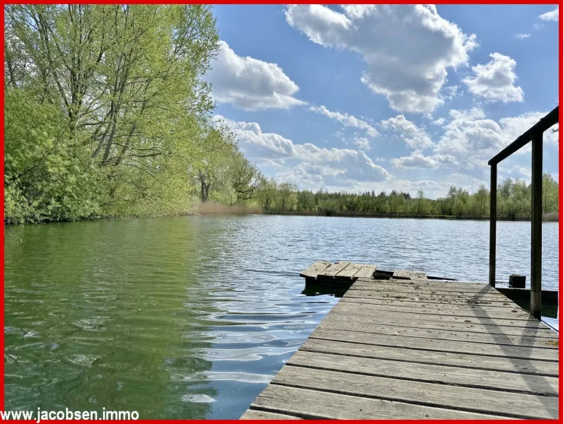 Steg zum Schwimmteich