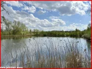 Schwimmteich mit Blick nach Süden