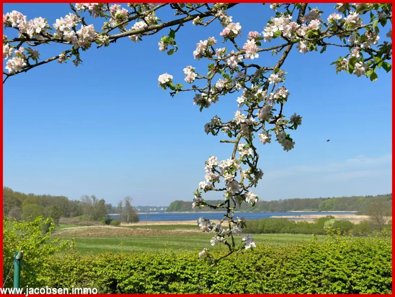 Ausblick aufs Selker Noor