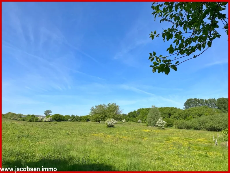 Naturerlebnispark Galloway im Sommer