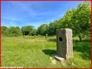 Streuobstwiese Sommerimpressionen600 m entfernt