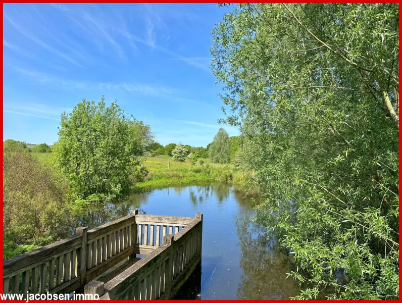 Naturerlebnispark  Galloway im Sommer 600 m entfernt