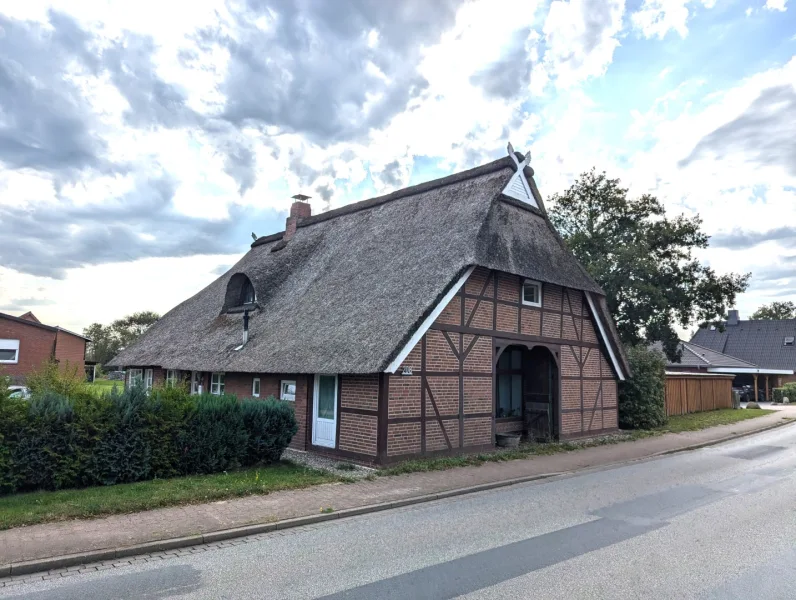 Ansicht von der Straße - Haus kaufen in Tespe - Historisches Reetdachhaus am Elbufer (vermietet)