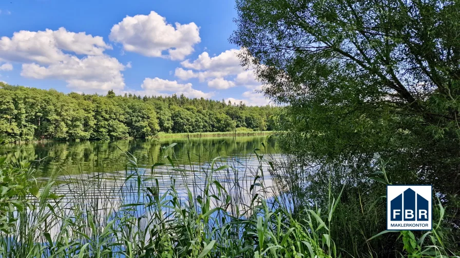 Am Rogeezer See - Haus kaufen in Fünfseen / Rogeez - Klasse! Einfamilienhaus mit Potenzial plus Option für Boosthaus am Plauer See