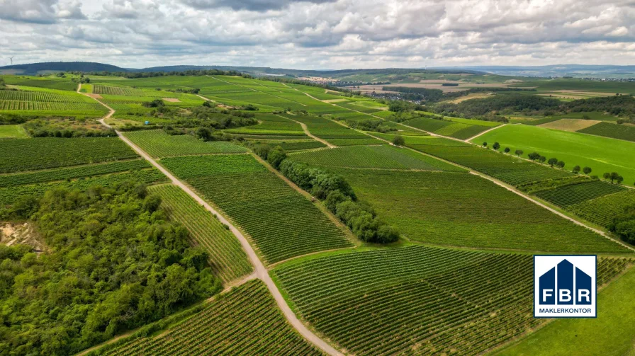 Weinberge prägen die Landschaft