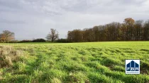 Feld neben dem Grundstück