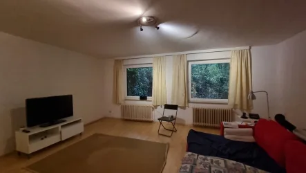 Wohn- Schlafraum Ansicht I - Wohnung mieten in Hamburg / Heimfeld - Geräumige 1 Zimmer Erdgeschosswohnung mit Terrasse