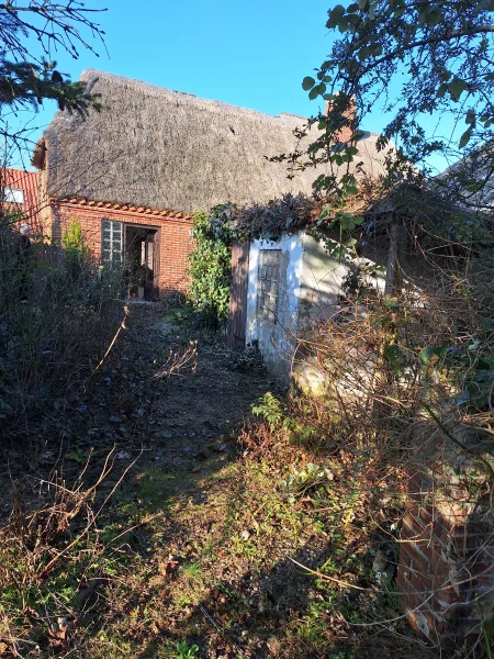 Objekt Ansicht - Haus kaufen in Fehmarn, OT Dänschendorf - DHH unter Reet mit gr. Grundstück in 23769 Fehmarn, OT Dänschendorf