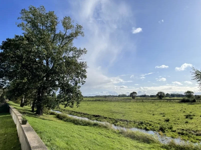 Blick auf die Ochtumwiesen