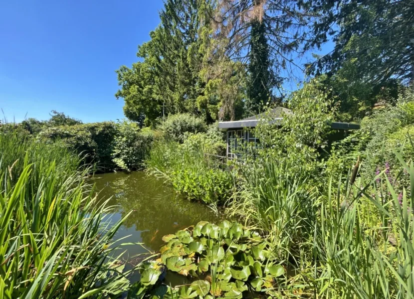 Gartenteich mit Gartenhaus