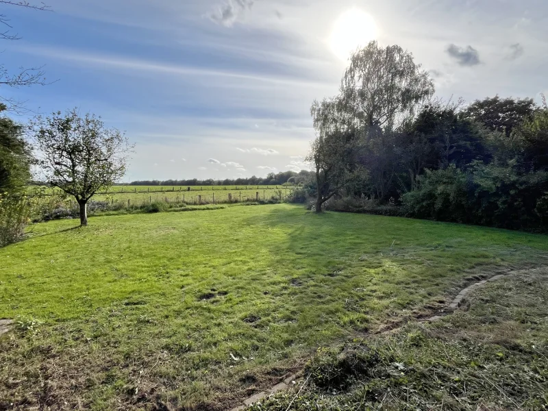 Blick in den Garten