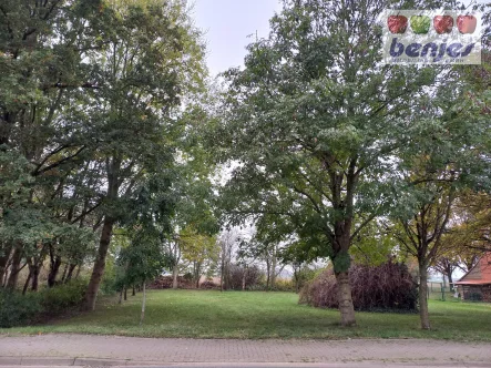 Zufahrt zum Grundstück - Grundstück kaufen in Hilgermissen - Großzügiger Bauplatz in Dorflagemit herrlichem Baumbestand