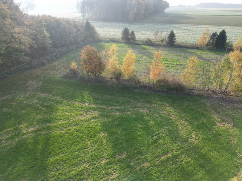 Blick auf die Weiden