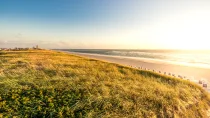 Ausblick auf den Strand