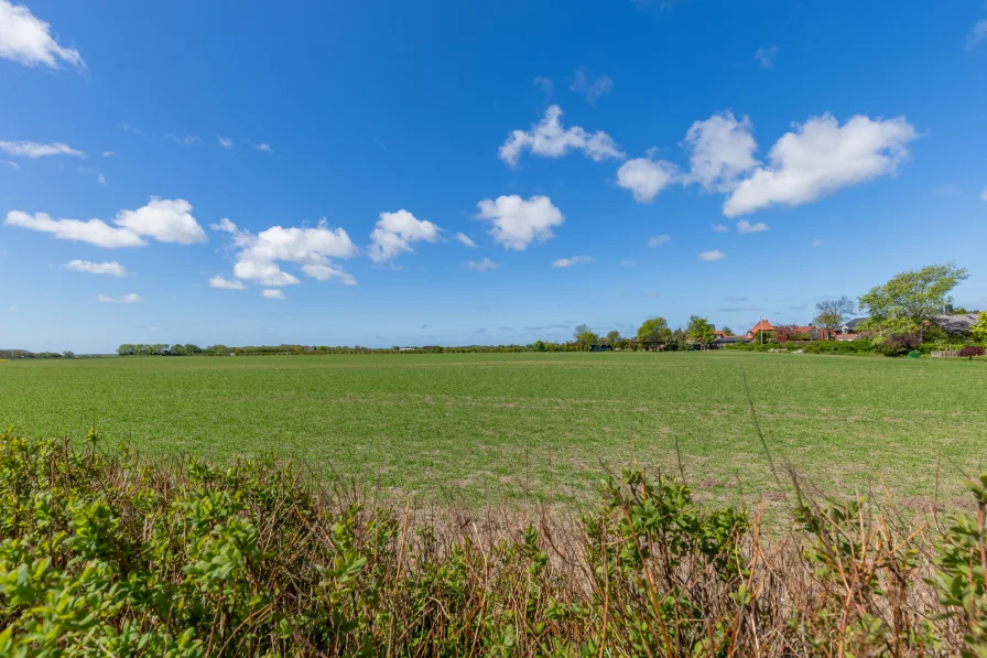 Aussicht über die Felder