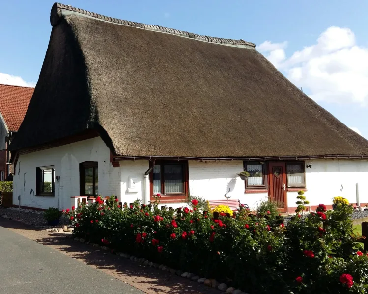 Hausansicht - Haus kaufen in Uetersen - Direkt am Deich - Reetdachhaus auf einer Ebene