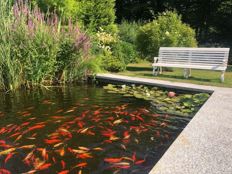 Gartenteich