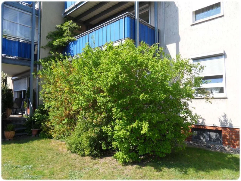 Terrasse - Wohnung mieten in Edemissen - Edemissen - möblierte Single-Erdgeschosswohnung mit Terrasse und Einbauküche - ab sofort