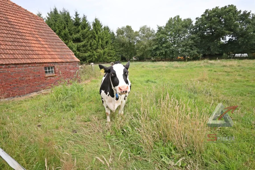 auch ein Tierparadies