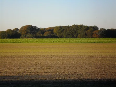 Beispielbild - Grundstück kaufen in Bad Zwischenahn - Neuer Preis ! 0,4 ha Landwirtschaftliche Nutzfläche