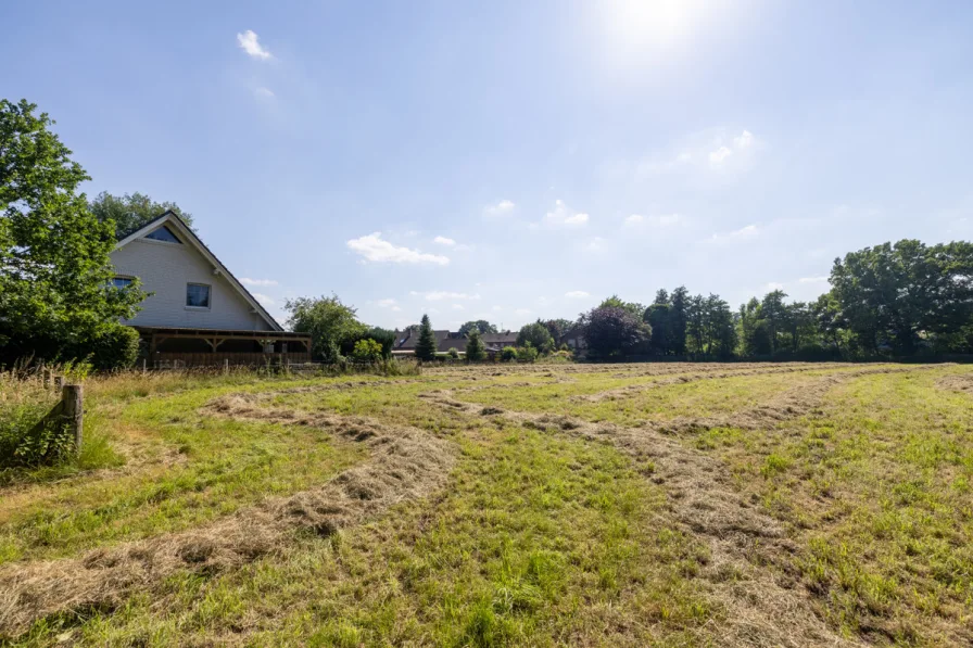 Blick auf am Haus gelegene Weide