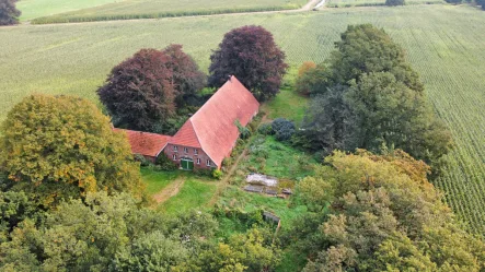 Drohne - Haus kaufen in Wardenburg / Höven - Resthof im wunderschönen Ortsteil Höven