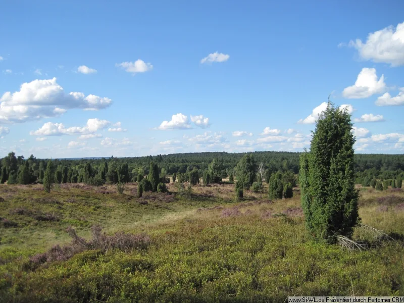 Ganz nah an der Lüneburger Heide