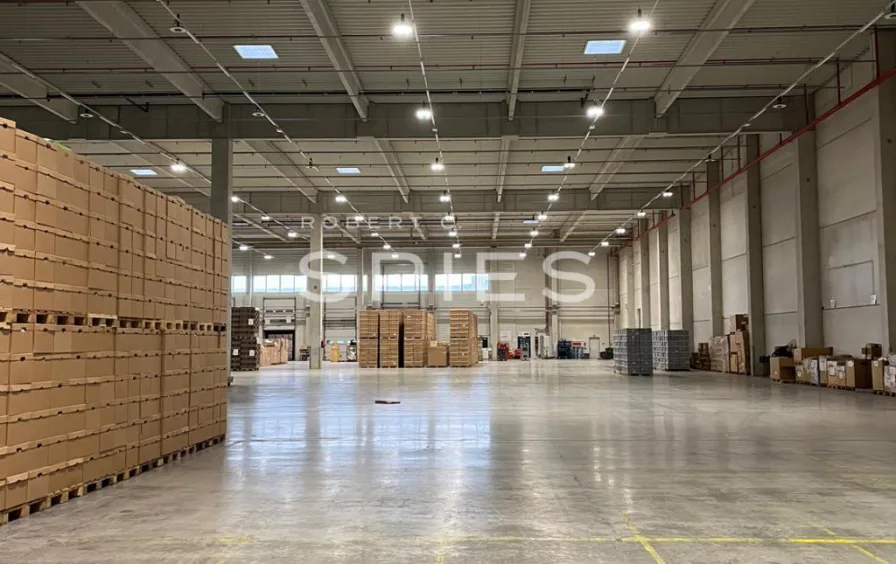 Online_1 - Halle/Lager/Produktion mieten in Bremen - Exklusiv: Ihr Logistikstandort im GVZ Bremen - geeignet für Automotive!