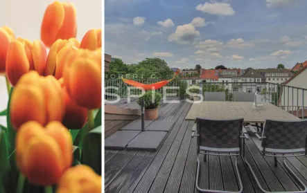 Dachterrasse - Wohnung kaufen in Bremen - Vermietete Maisonettewohnung mit exklusiver Dachterrasse in begehrter Lage Schwachhausens 