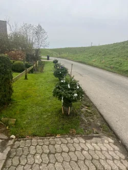  - Haus kaufen in Balje - Wohnen wie im Urlaub - gepflegtes renoviertes EFH am Elbdeich mit Blick auf die Elbe