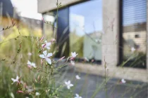 Maximal große Fensterflächen für viel Licht