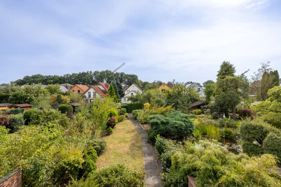 Blick in den Garten