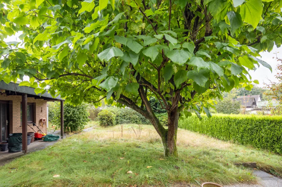 Blick in den Garten