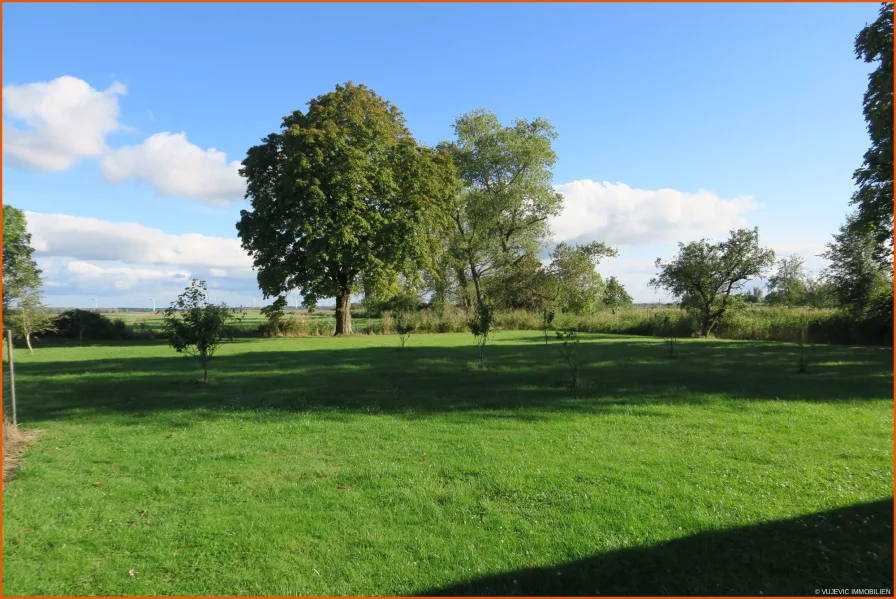 Blick in den Garten